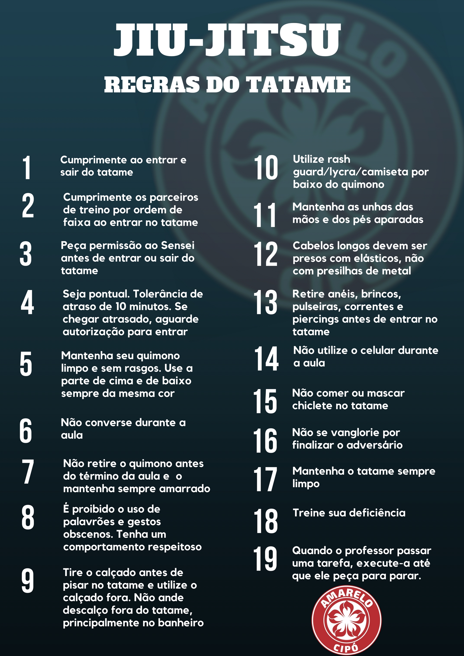 jiu-jitsu-regras-do-tatame