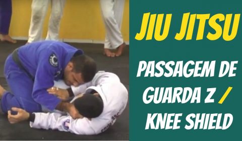 Jiu jitsu - passagem de guarda z - professor rodrigo acioli demonstra a passagem no prof. áquila lanza